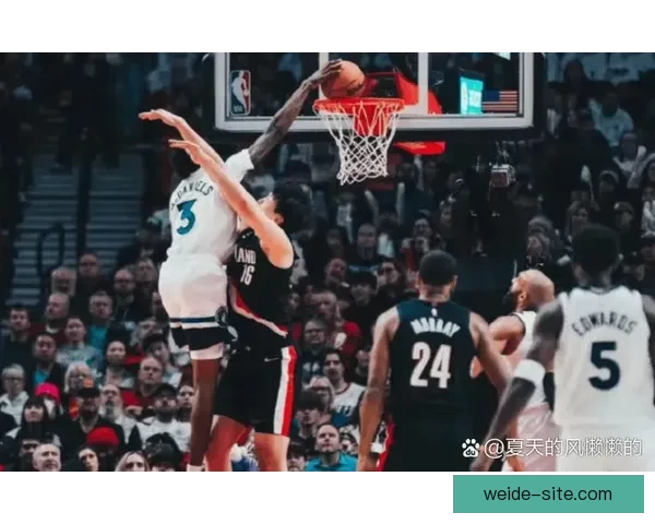 格兰特关键三分与两罚全中独得26分 带领开拓者战胜森林狼