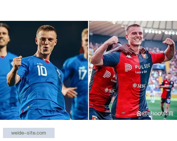 维罗纳球迷对法焦利发出歧视性口号 古德蒙德松随即回应事件曝光